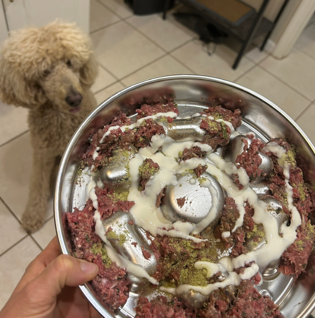 What Does the Woof Creek Team Feed Their Furry Family Members?