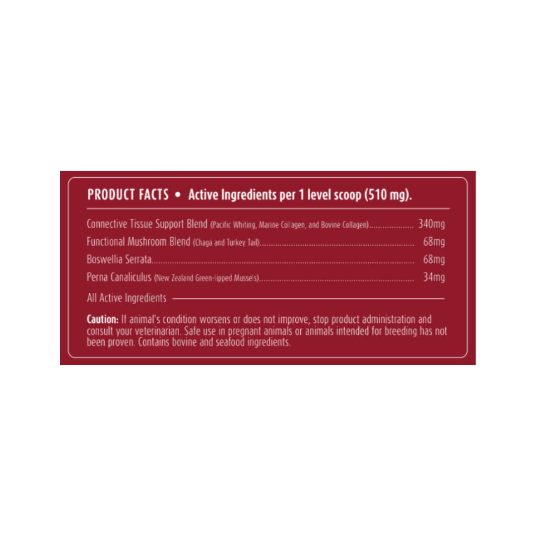 Hip + Joint Support | All-Natural Health Supplement for Dogs + Cats - Woof Creek Pet Wellness