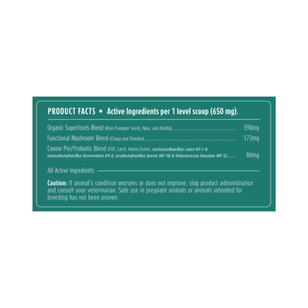 Gut Health Support | All-Natural Health Supplement for Dogs - Woof Creek Pet Wellness