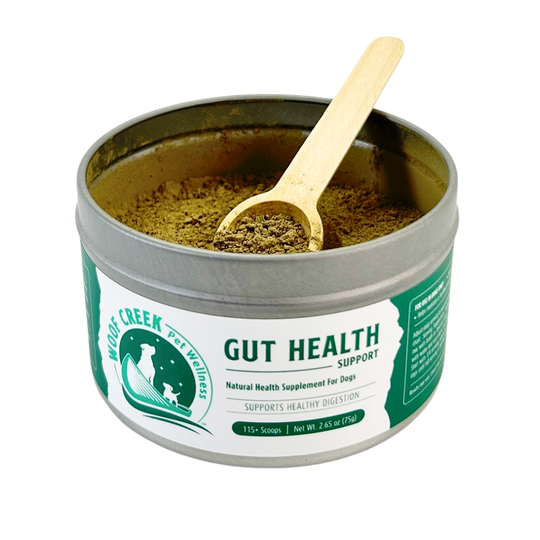 Gut Health Support | All-Natural Health Supplement for Dogs - Woof Creek Pet Wellness