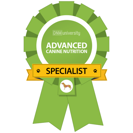 Hip + Joint Support | All-Natural Health Supplement for Dogs + Cats - Woof Creek Dog Wellness