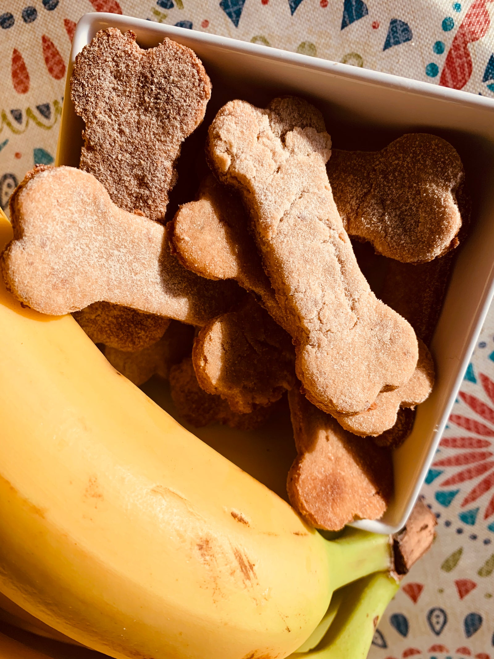 Bowl of bone shaped homemade dog biscuits or treats
