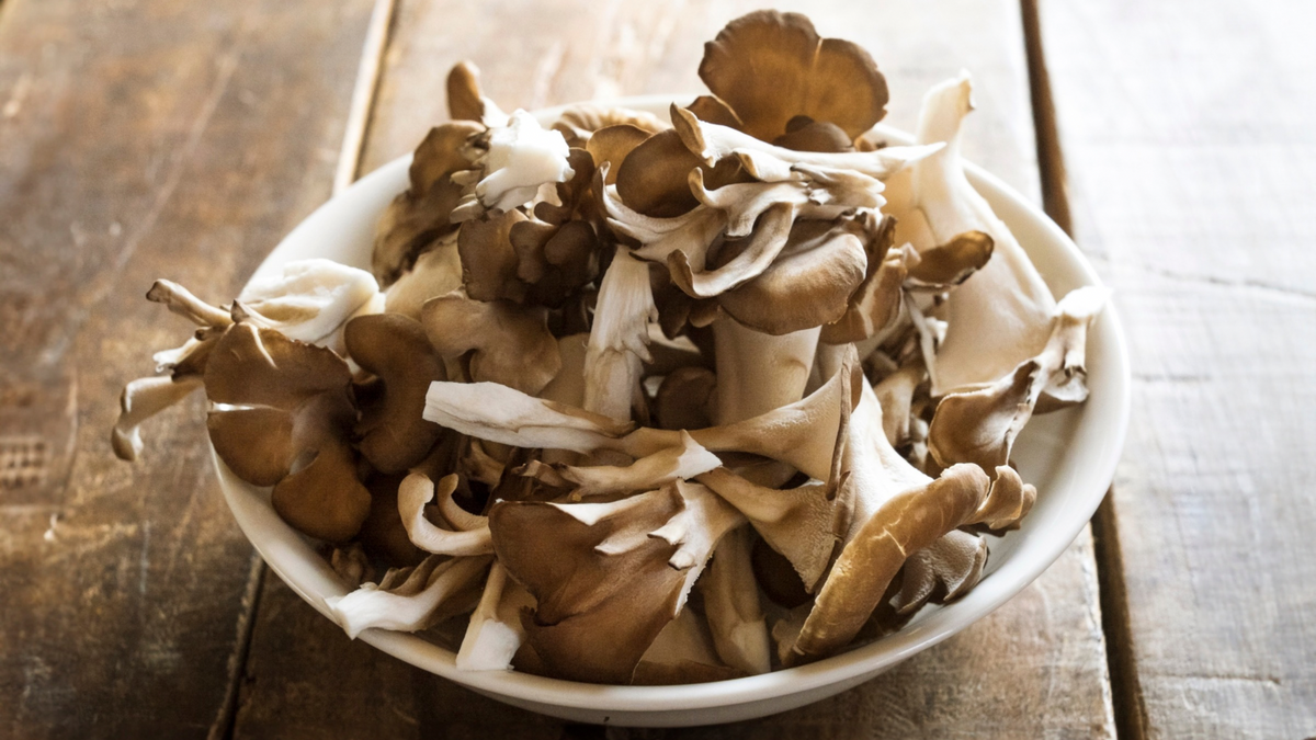 Maitake Mushroom for Dogs & Cats: The Dancing Mushroom