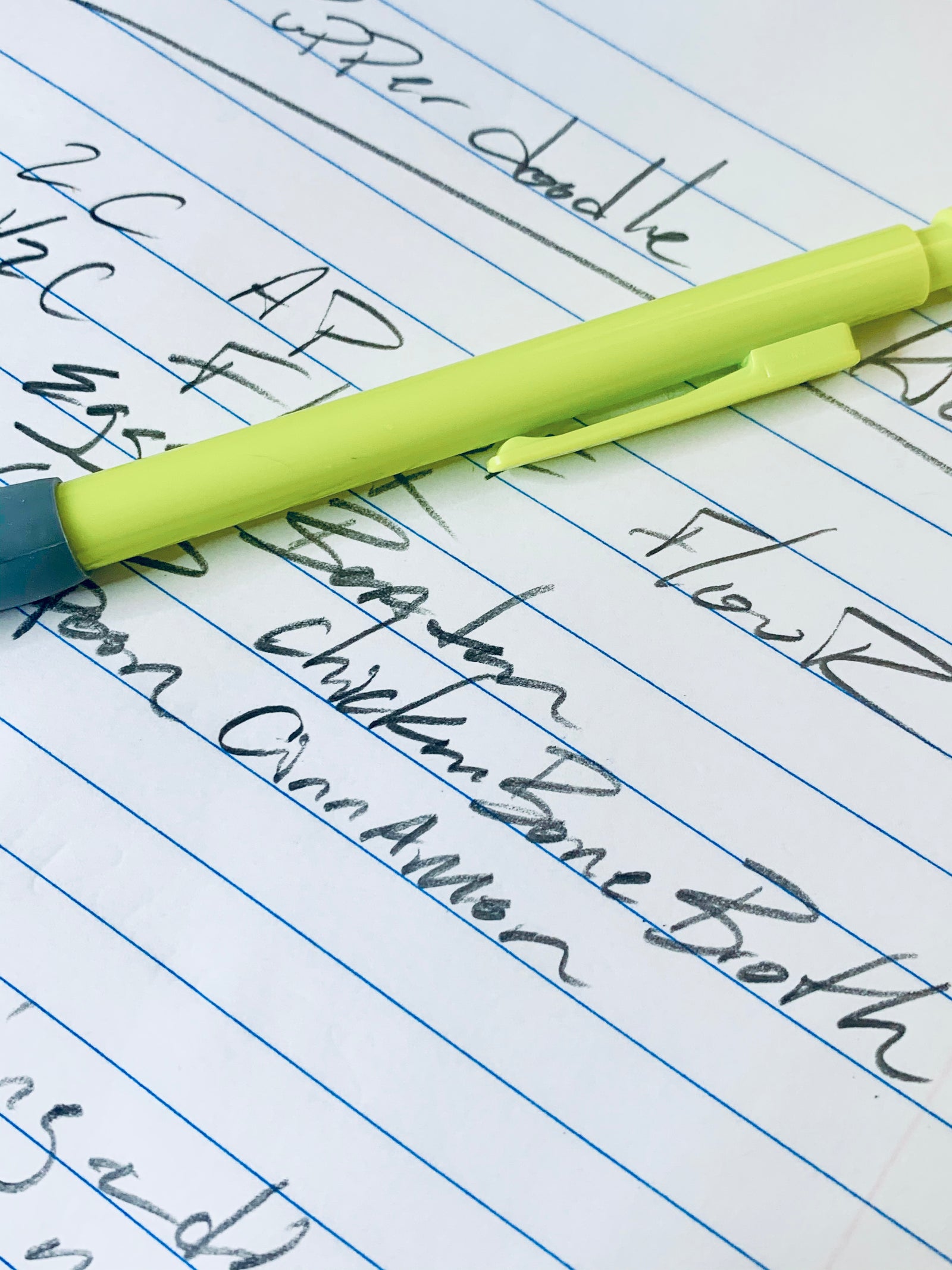 neon yellow pencil on notebook. notebook has natural dog treat recipes 