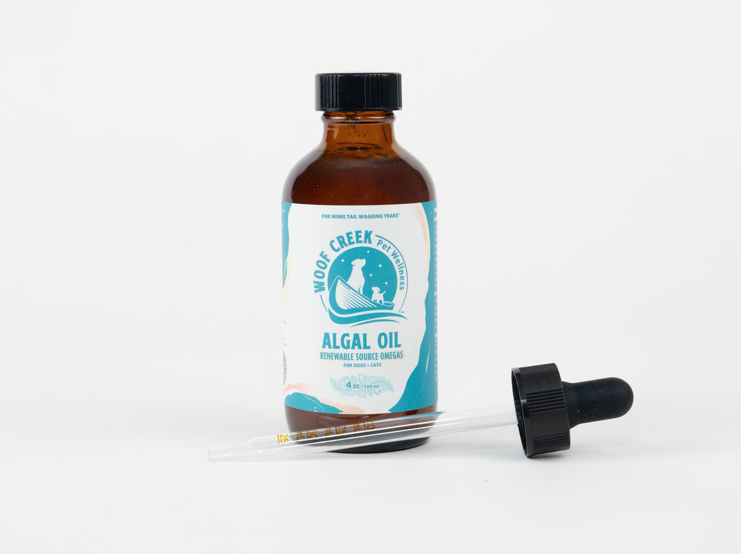 Why We Choose Glass Bottles for Our Premium Omega Oil Toppers