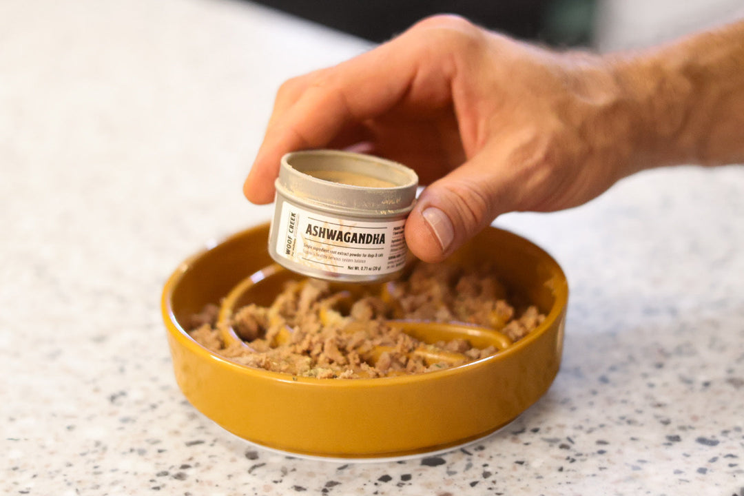 Ashwagandha: Natural Calm & Balance for Dogs and Cats