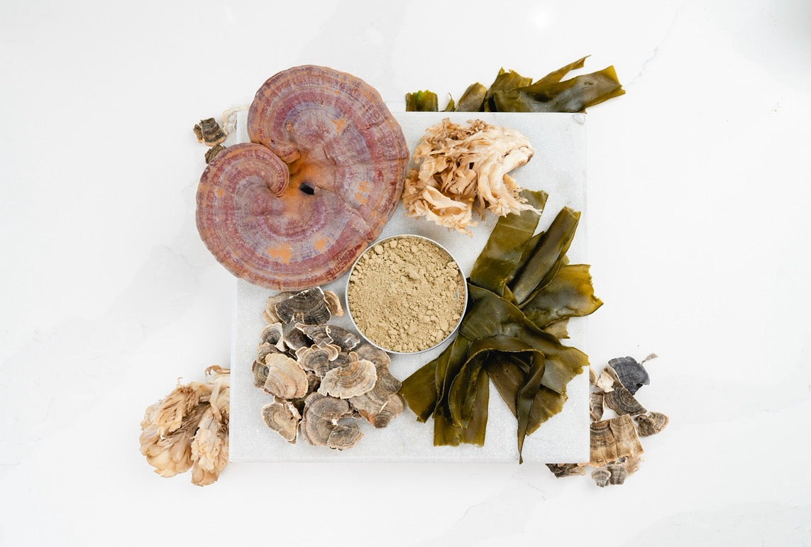Allergy + Immune Support: Supporting Your Dog from the Inside Out