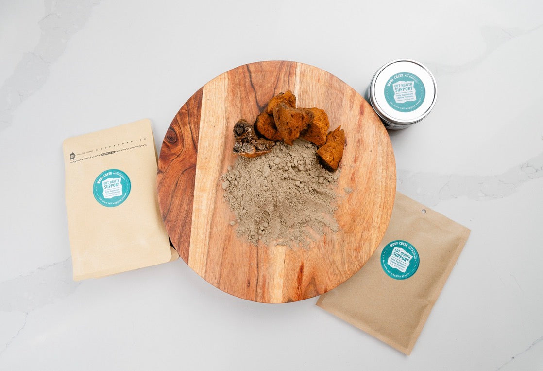 A Closer Look at Woof Creek Gut Health Support: A Smart Approach to Gut Health for Dogs