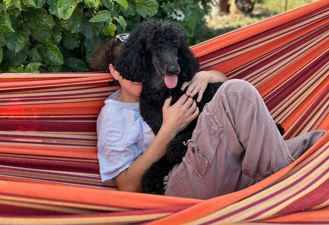 National Love Your Pet Day: How We Intentionally Show Our Pets Love