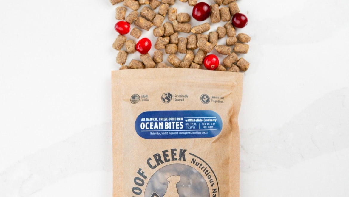 Photograph of natural freeze dried dog treats made with fish and cranberries