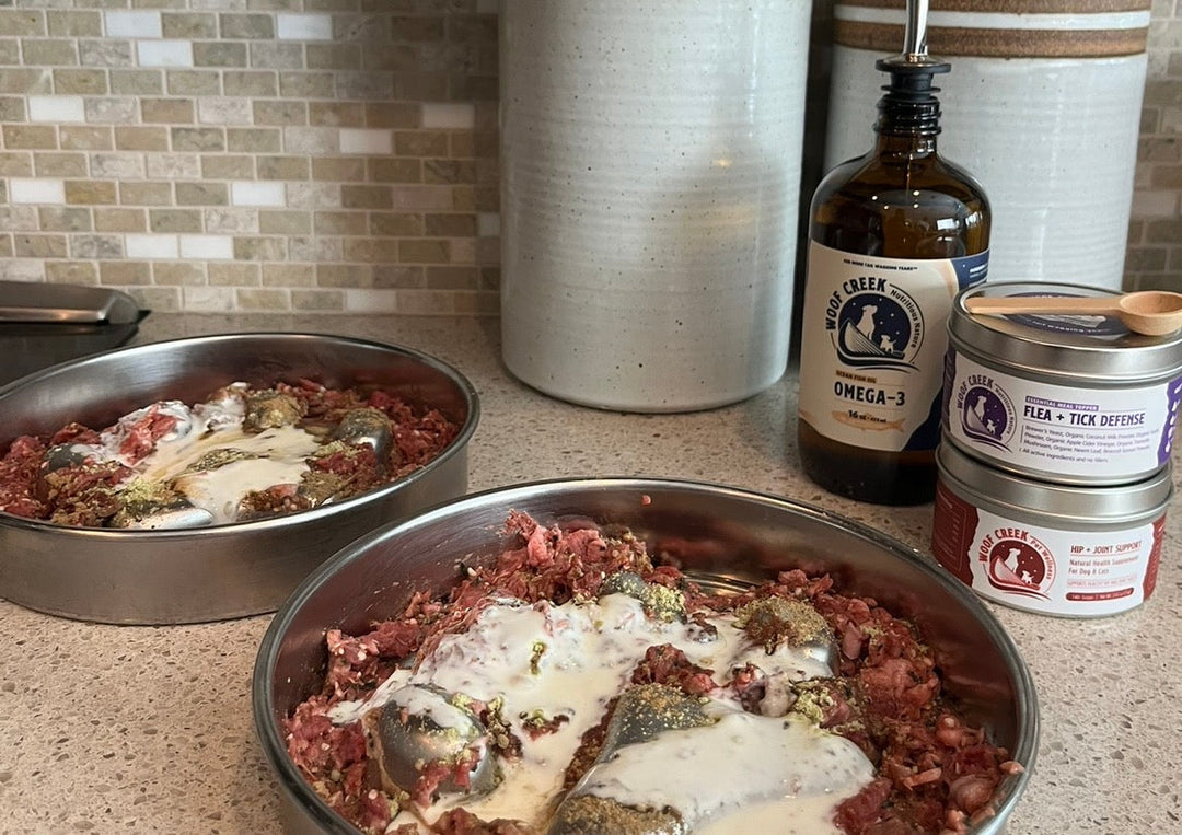 Should I Add Novel Proteins to My Dogs Diet?