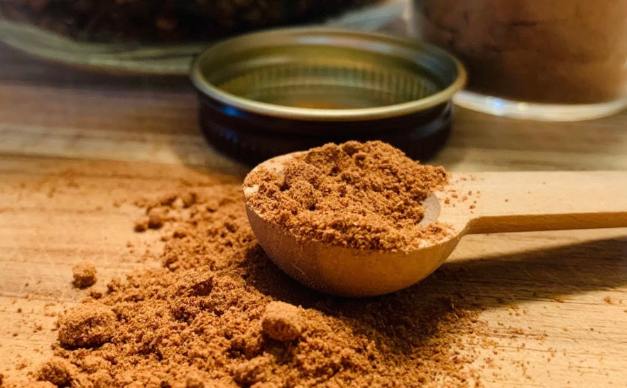 Can My Dog Have Pumpkin Spice?