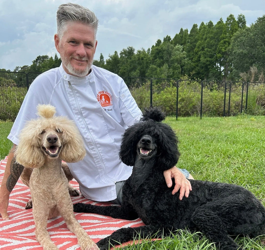 Five Lessons from Five Years of Woof Creek