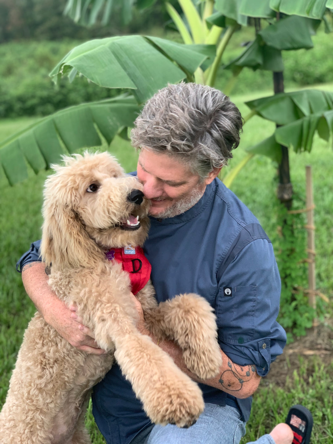 Woof Creek: small business Q&A with founder Chef Scot Hill
