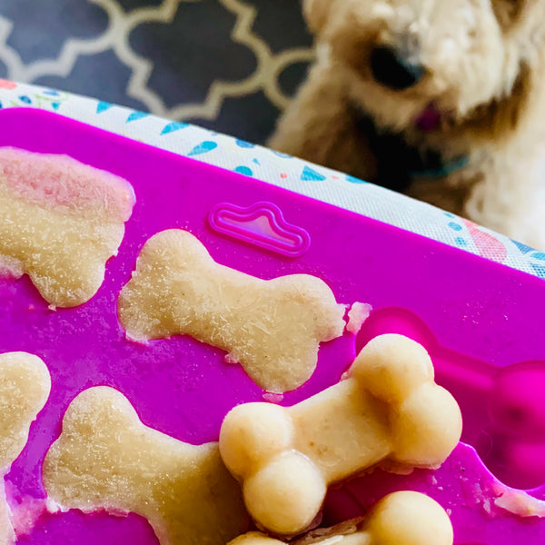 Frozen Dog Treats - Salmon and Apple Bones