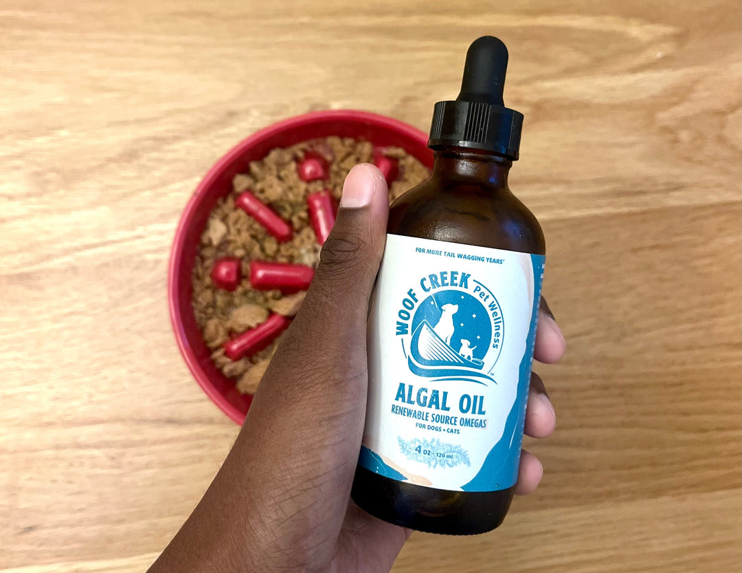 Introducing Algal Oil: The Plant-Based Omega-3 Powerhouse for Your Pup or Kitty
