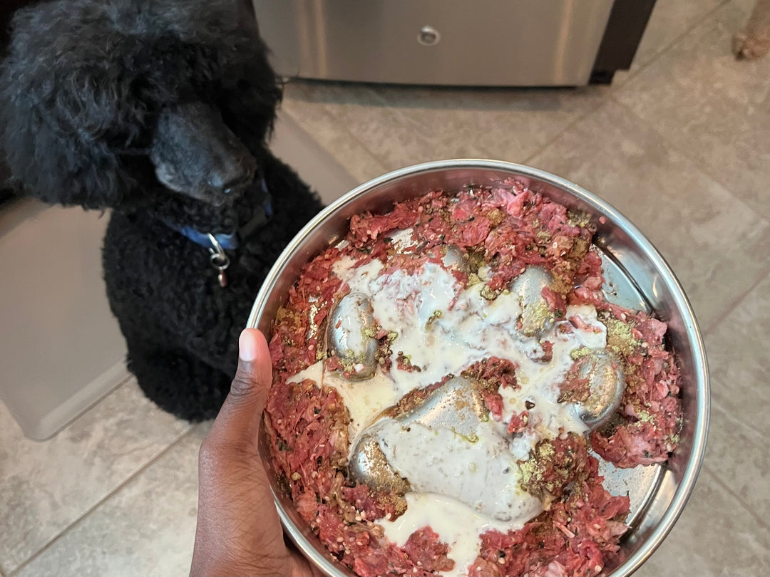 What Does the Woof Creek Team Feed Their Furry Family Members?