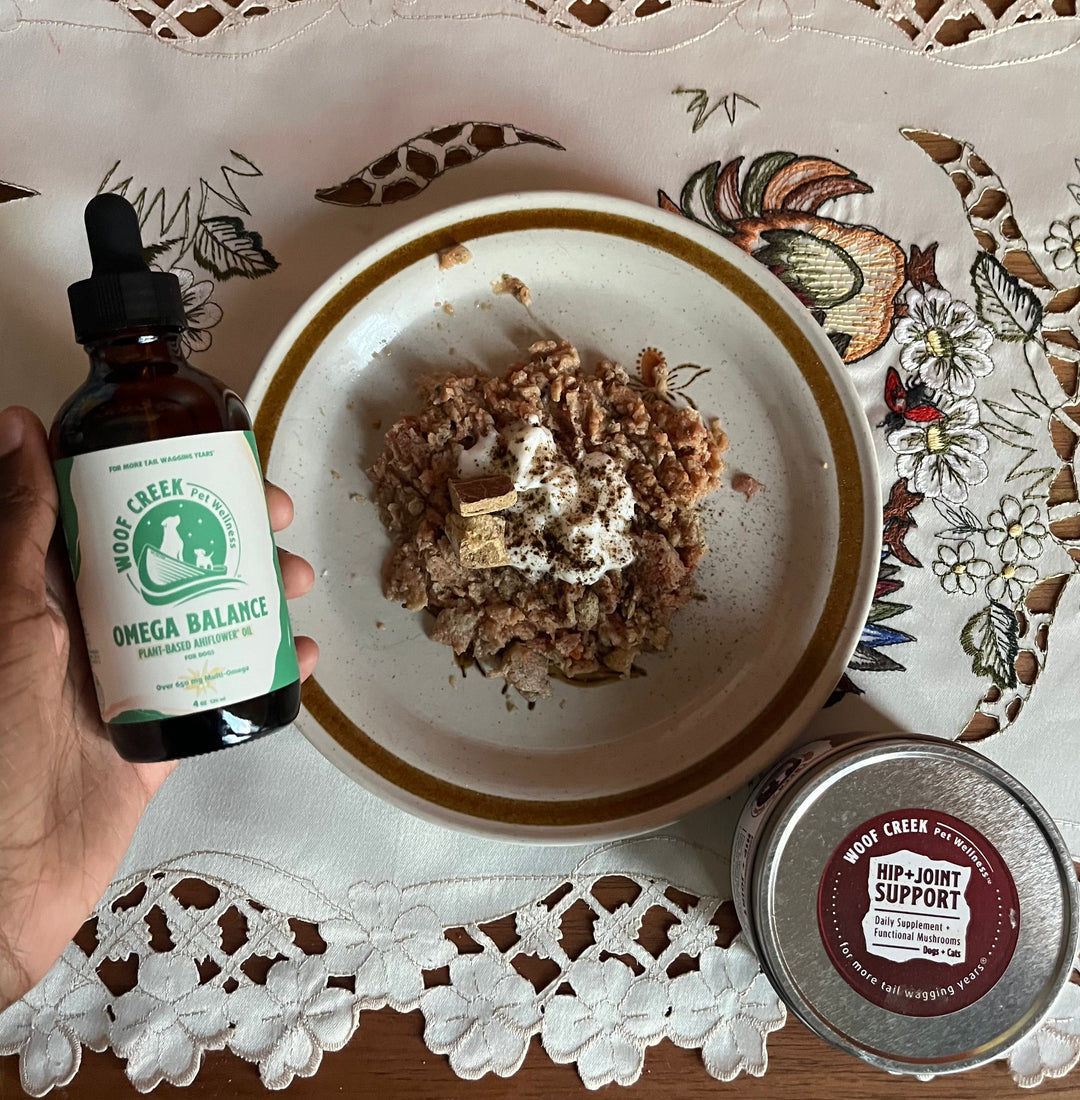 A Thoughtful Approach to Omega Support for Dogs