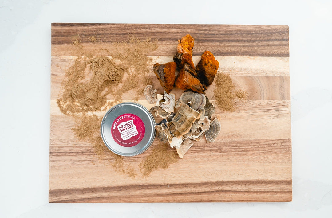 Why Mushrooms? Partnering With Nature for Whole-Pet Wellness
