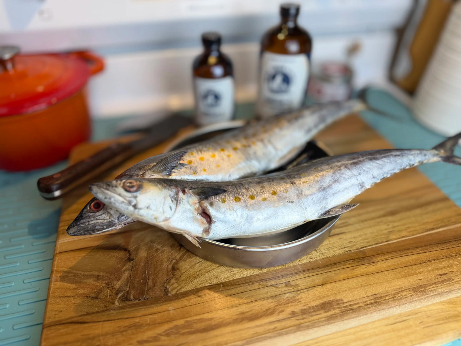 Fish Oil vs Fresh Fish for Dogs: Which Omega-3 Option Is Best?