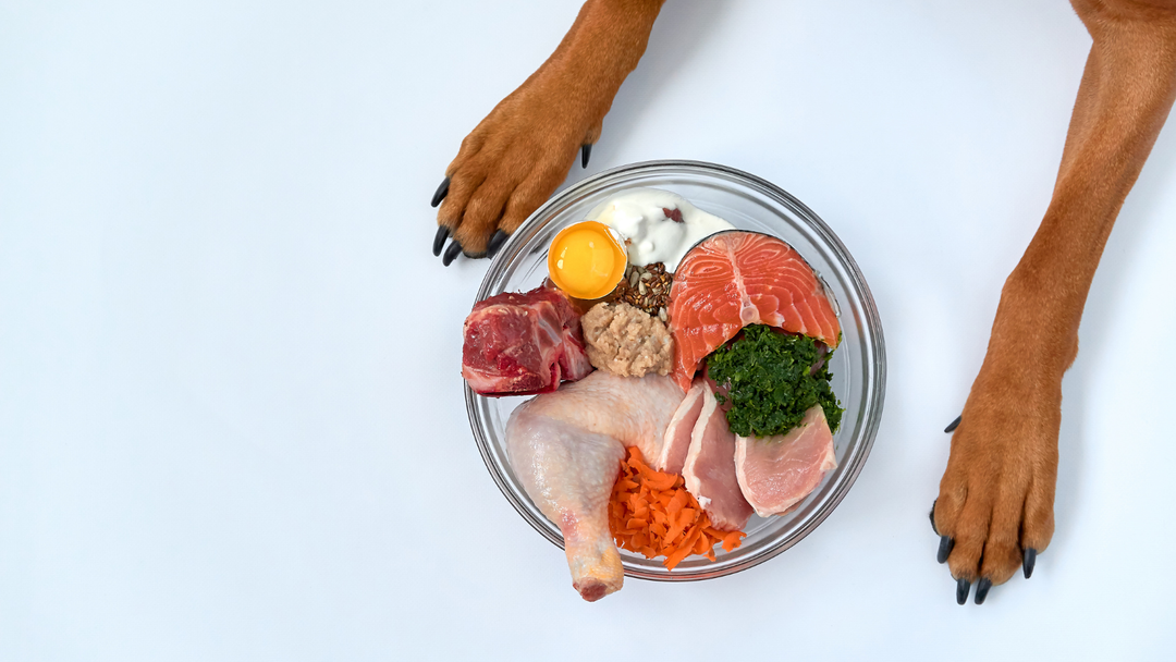 Raw Feeding Doesn't Have to Be Complicated. Start Here.