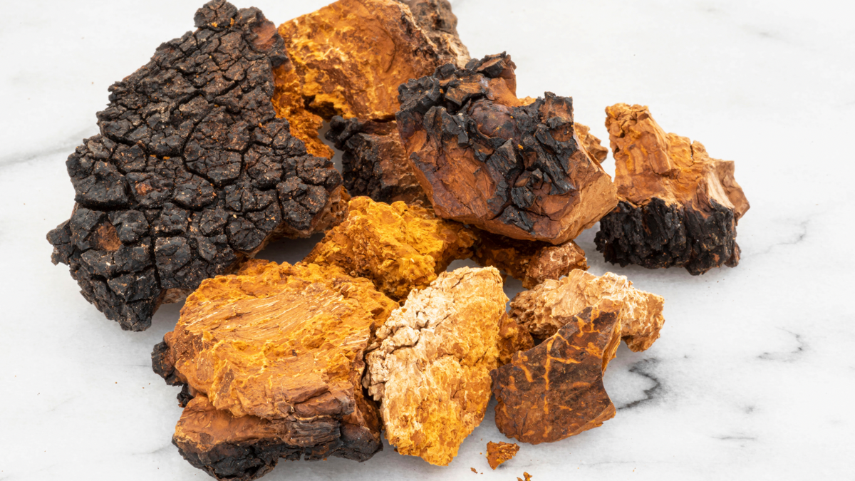 Chaga Mushroom for Dogs & Cats: Nature's Antioxidant Powerhouse