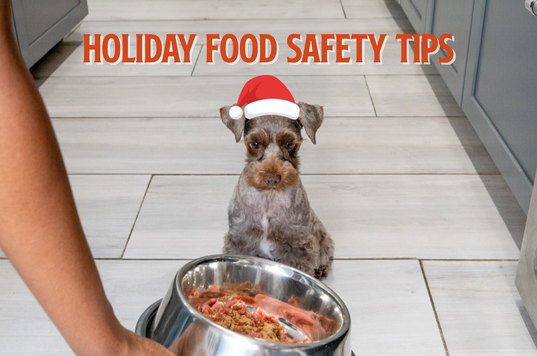 Holiday Food Safety Tips For Pets