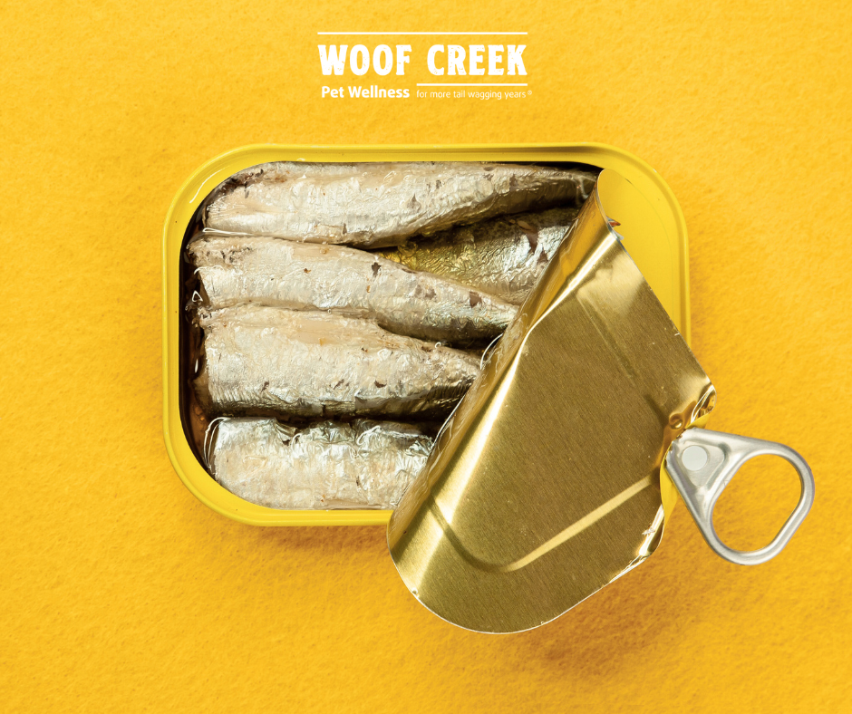 Why Sardines in Tins Are Trending—And Why Your Pet Might Thank You for Joining In