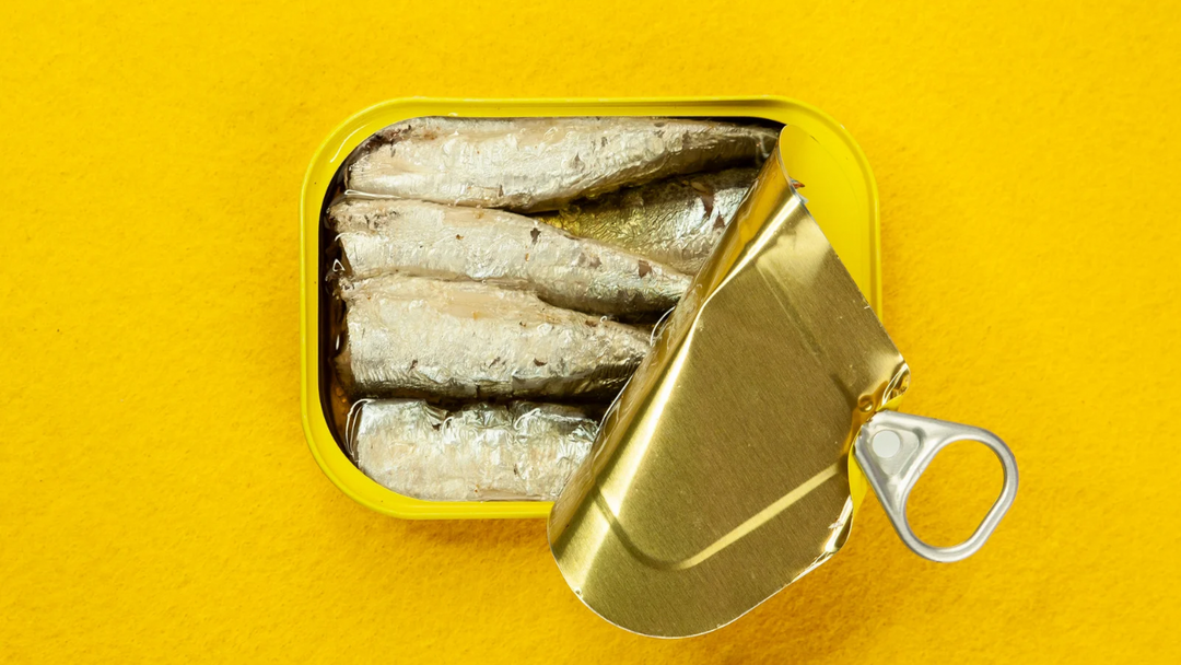 Why Sardines in Tins Are Trending—And Why Your Pet Might Thank You for Joining In