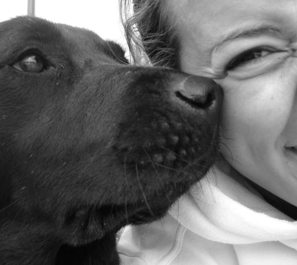 Black Dogs Need Us!