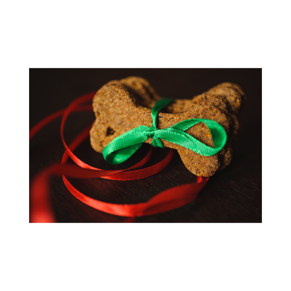 3 Ingredient Dog Treats... great for gifting!