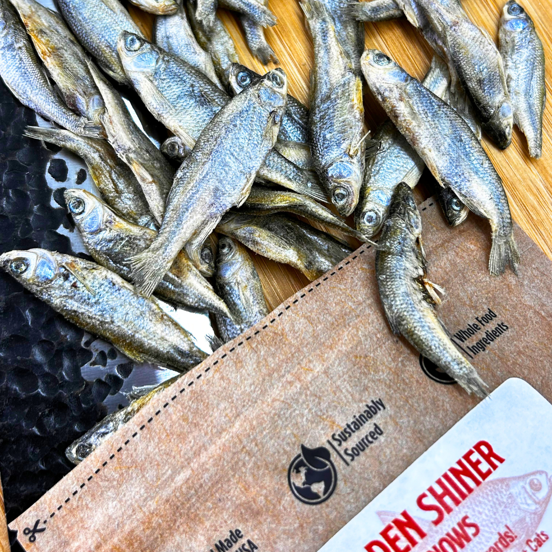 Golden Shiner Minnows | 90-Treat Pouch for Dogs + Cats - Woof Creek Pet Wellness