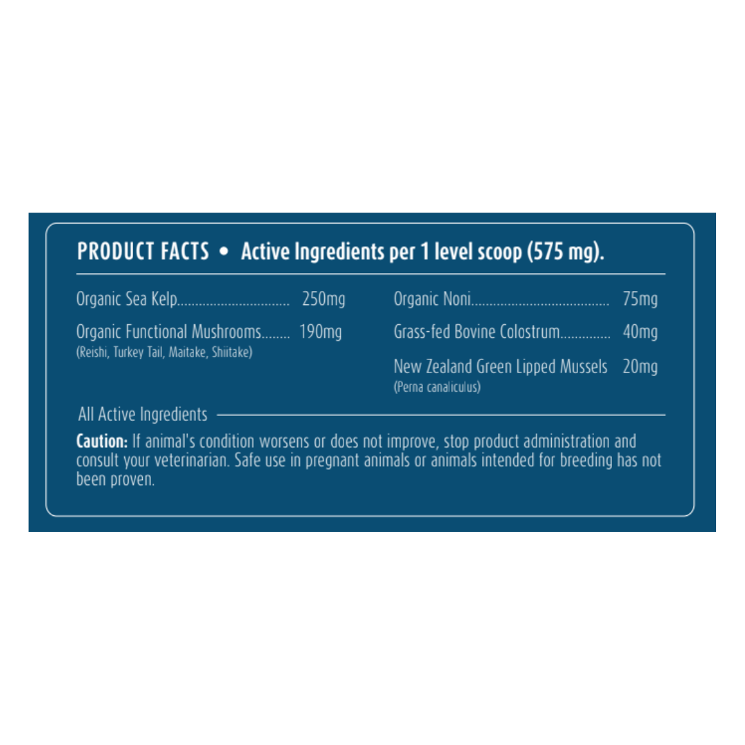 Allergy + Immune Support | All-Natural Health Supplement for Dogs + Cats - Woof Creek Pet Wellness