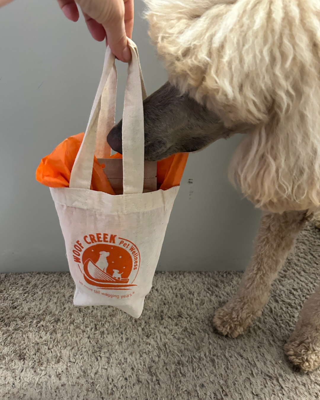 Mini Eco Gift Bag | 100% Organic Cotton