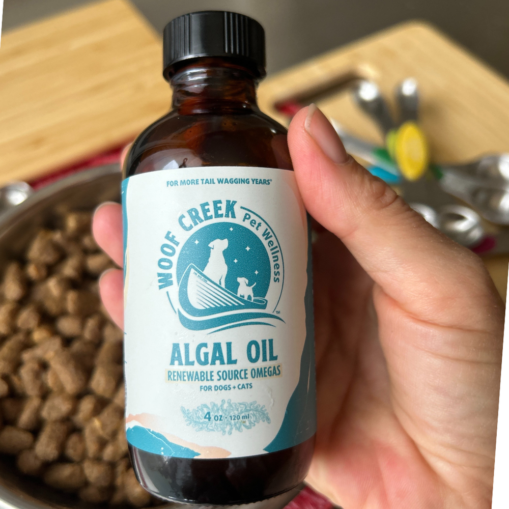 Algal Omega Plant-Based Oil Topper | 4floz Glass Bottle for Dogs + Cats