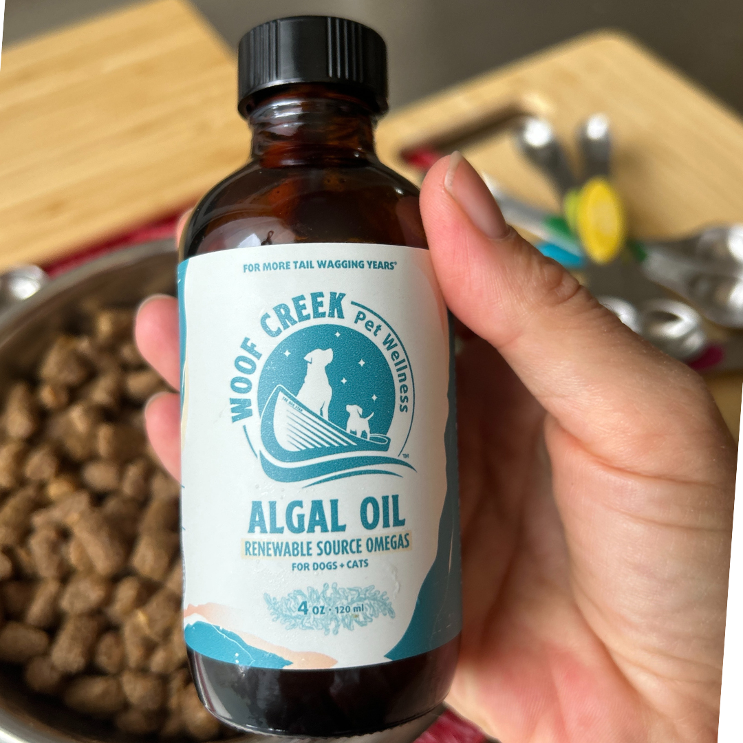 Algal Omega Plant-Based Oil Topper | 4floz Glass Bottle for Dogs + Cats