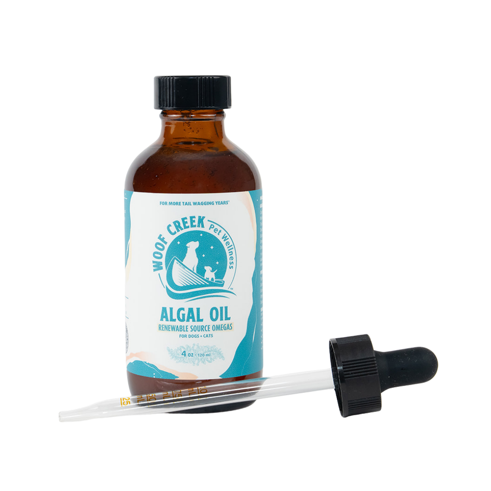 Algal Omega-3 Plant-Based Oil Topper | 4floz Glass Bottle for Dogs + Cats