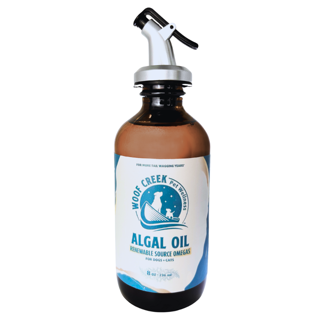 Algal Omega-3 Plant-Based Oil | 8floz Glass Bottle for Dogs + Cats