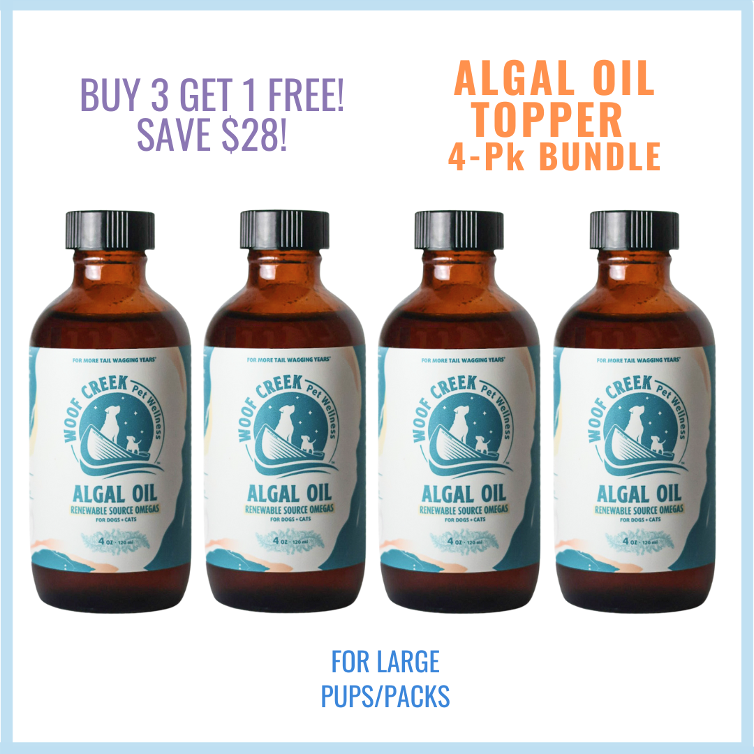 Algal Omega Oil Topper Bundle | (4)-4floz Glass Bottles for Dogs + Cats - Woof Creek Pet Wellness