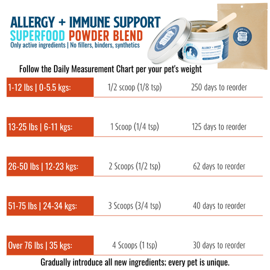 Allergy + Immune Support | All-Natural Health Supplement for Dogs + Cats