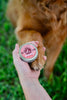 Boo Boo Balm | Lick-Safe Dog Balm for Paws + Body - Vanilla Mint - Woof Creek Pet Wellness