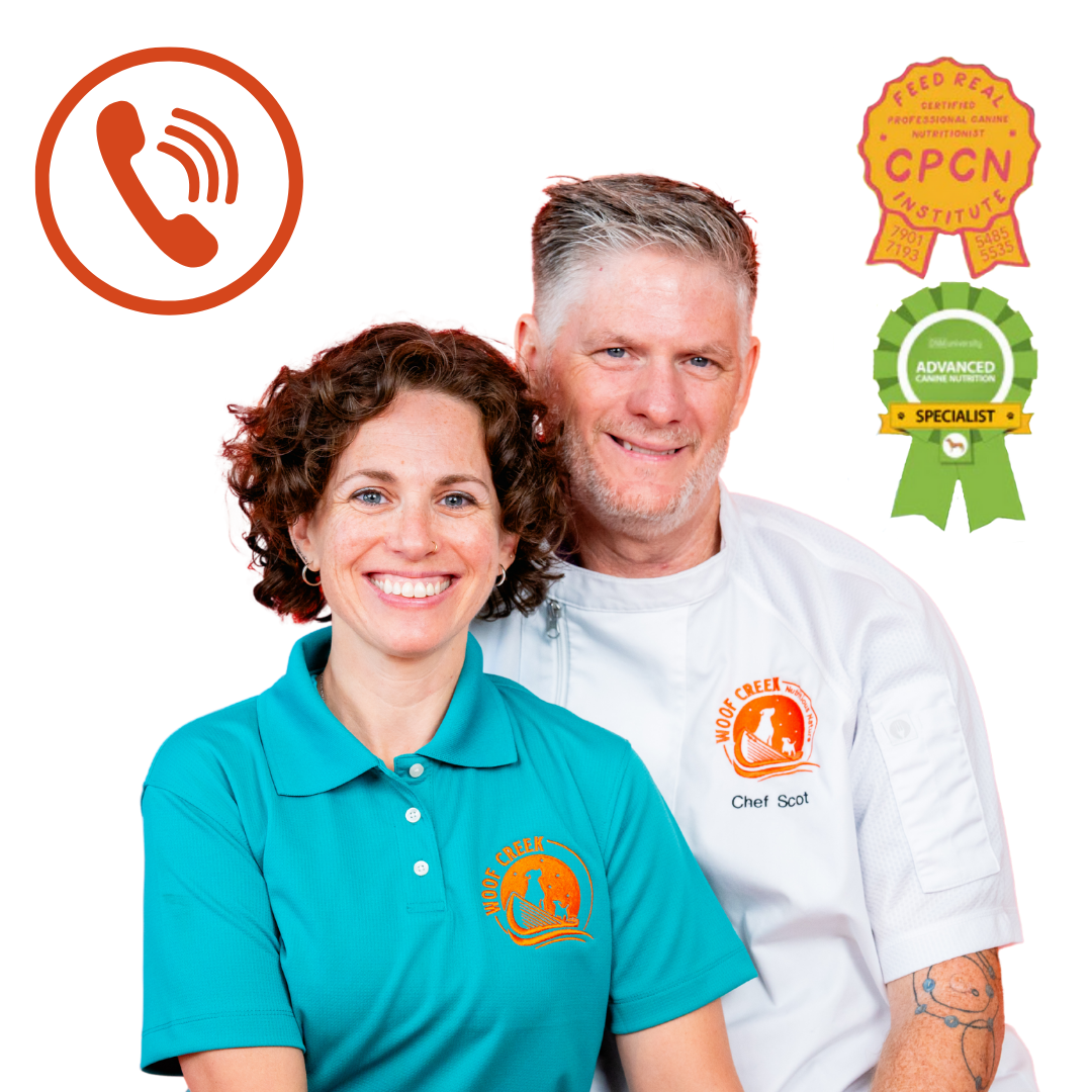 Pet Nutrition + Wellness Phone Consultation - Customized | 50-Minute