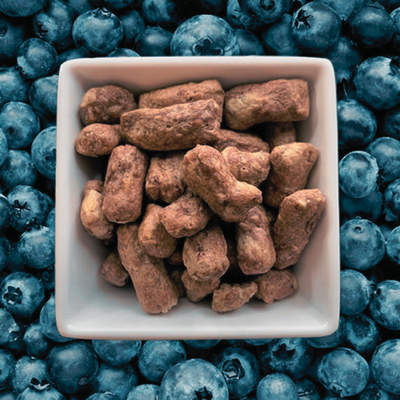 Natural Duck Bites w/Rabbit + Blueberries | 300-Treat 3oz Pouch for Dogs + Cats - Woof Creek Dog Wellness