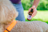 Natural Flea + Tick Defense Bundle | Supplement + Spray for Dogs + Cats - Woof Creek Pet Wellness