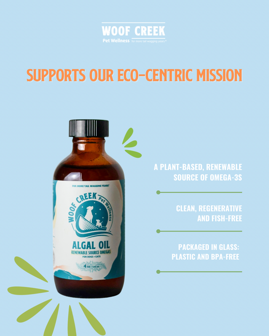Algal Omega Plant-Based Oil Topper | 4floz Glass Bottle for Dogs + Cats