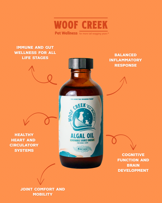 Algal Omega Plant-Based Oil Topper | 4floz Glass Bottle for Dogs + Cats