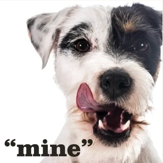 The Original "mine!" Pet Platter for Small Dogs + Cats