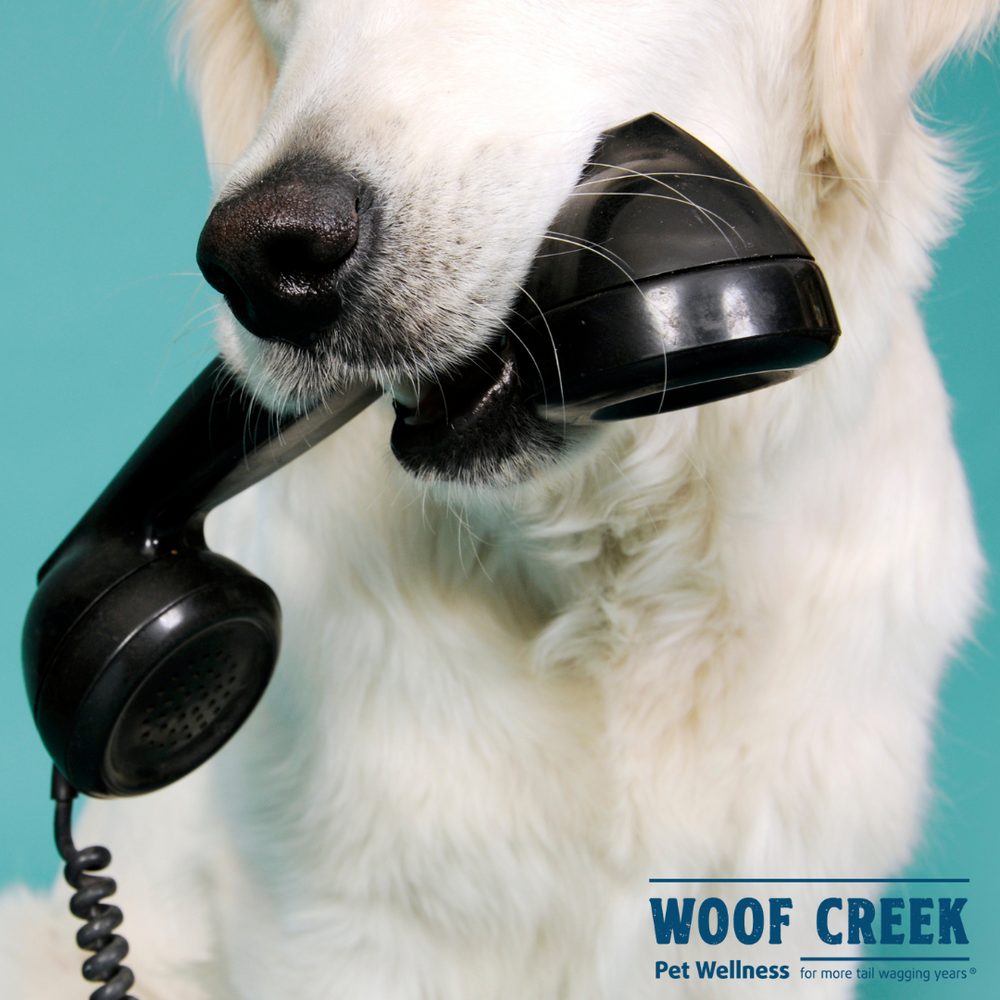 Set a Call | 'Anti-Phone Tag' Scheduler - Woof Creek Pet Wellness