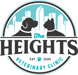 Tampa Bay's The Heights Veterinary Clinic