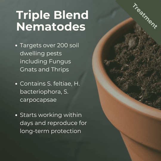 Triple Blend Beneficial Nematodes for Broad-Spectrum Soil Pest Control